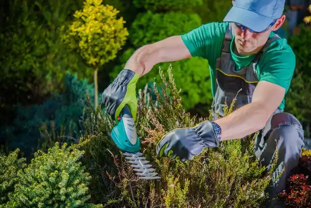 landscaping services Chauvin
